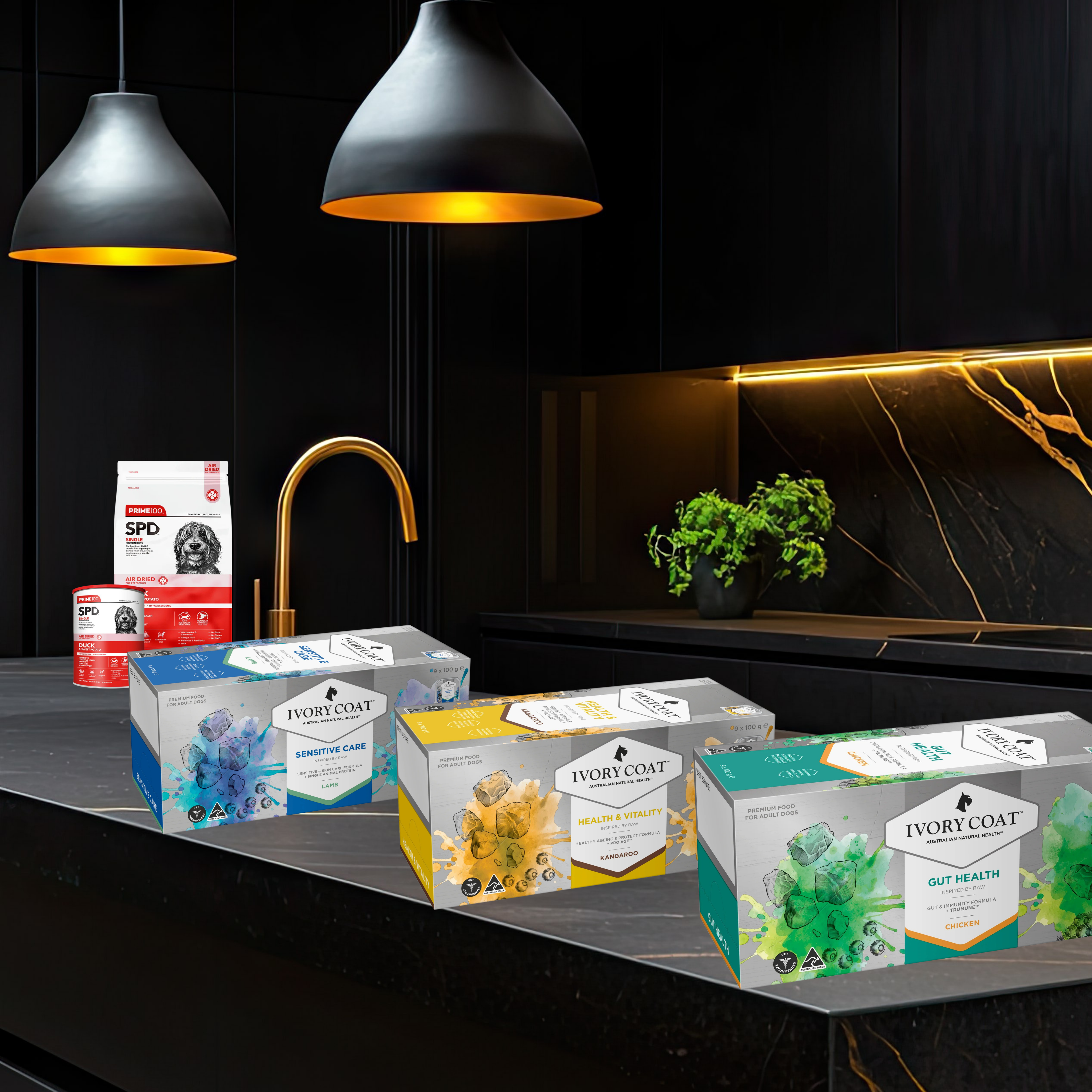 Ivory Coat Dogs - Various Wet Food Trays - Adult 9 x 100g