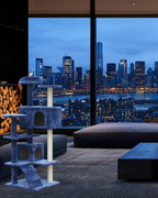 Cat Scratching Tree -Blue - 130 cm