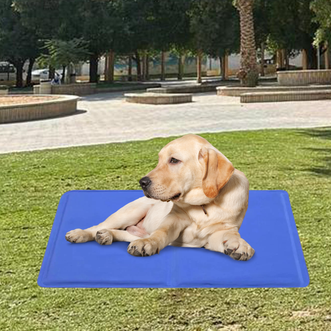 Pet Cooling Mat