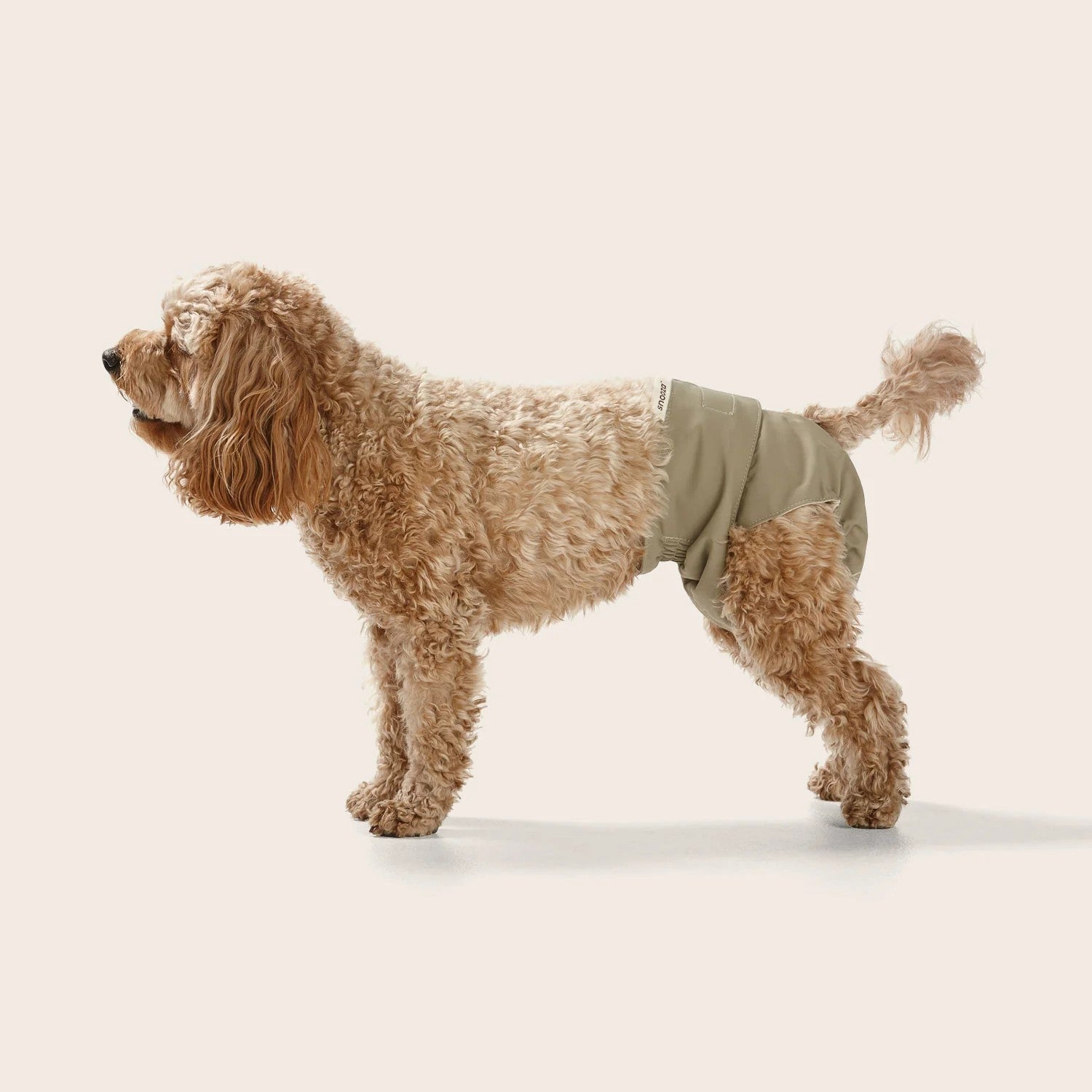 Snooza - Washable Dog Nappy - Twin Pack for Female Dogs - Large