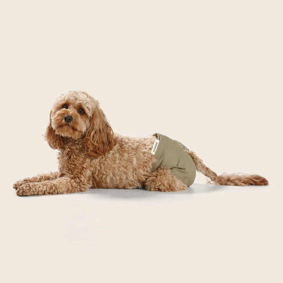 Snooza - Washable Dog Nappy - Twin Pack for Female Dogs - Large