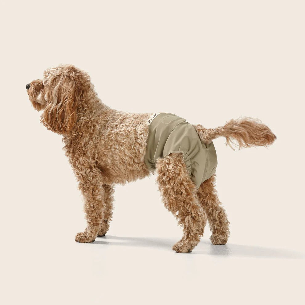 Snooza - Washable Dog Nappy - Twin Pack for Female Dogs - Large