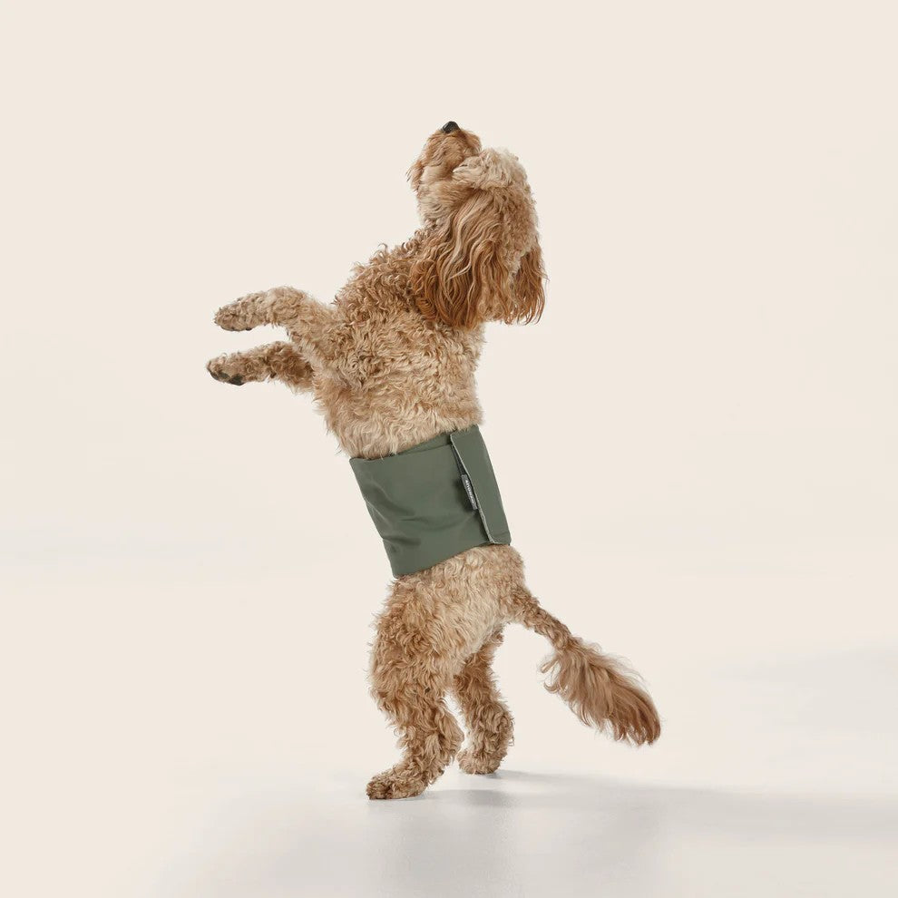 Snooza - Washable Dog Nappy Band - Twin Pack for Male Dogs