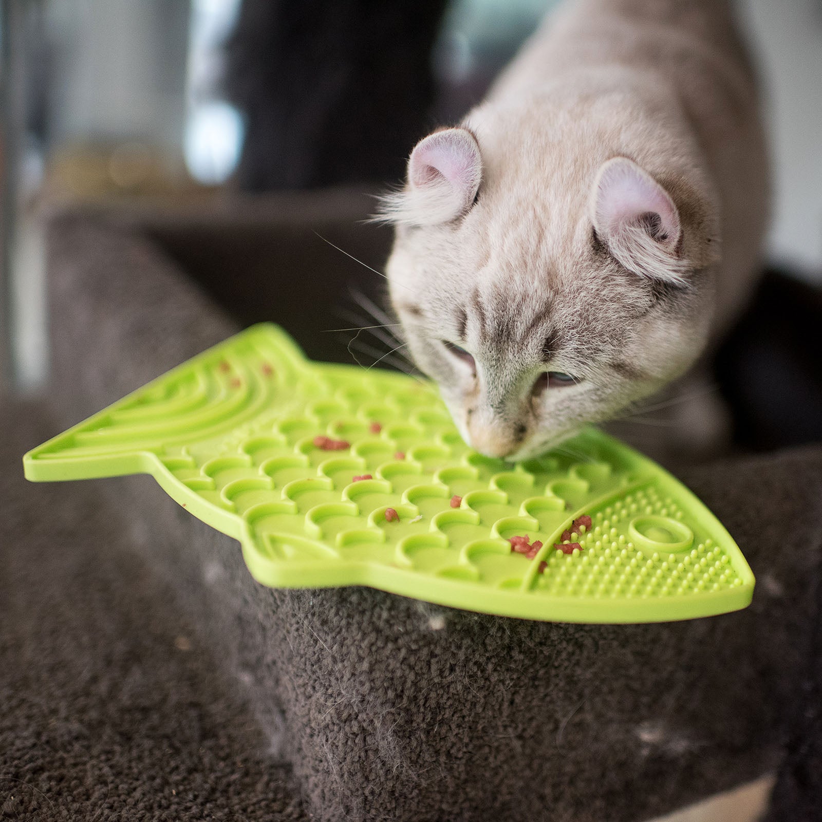 LickiMat - Cat Felix