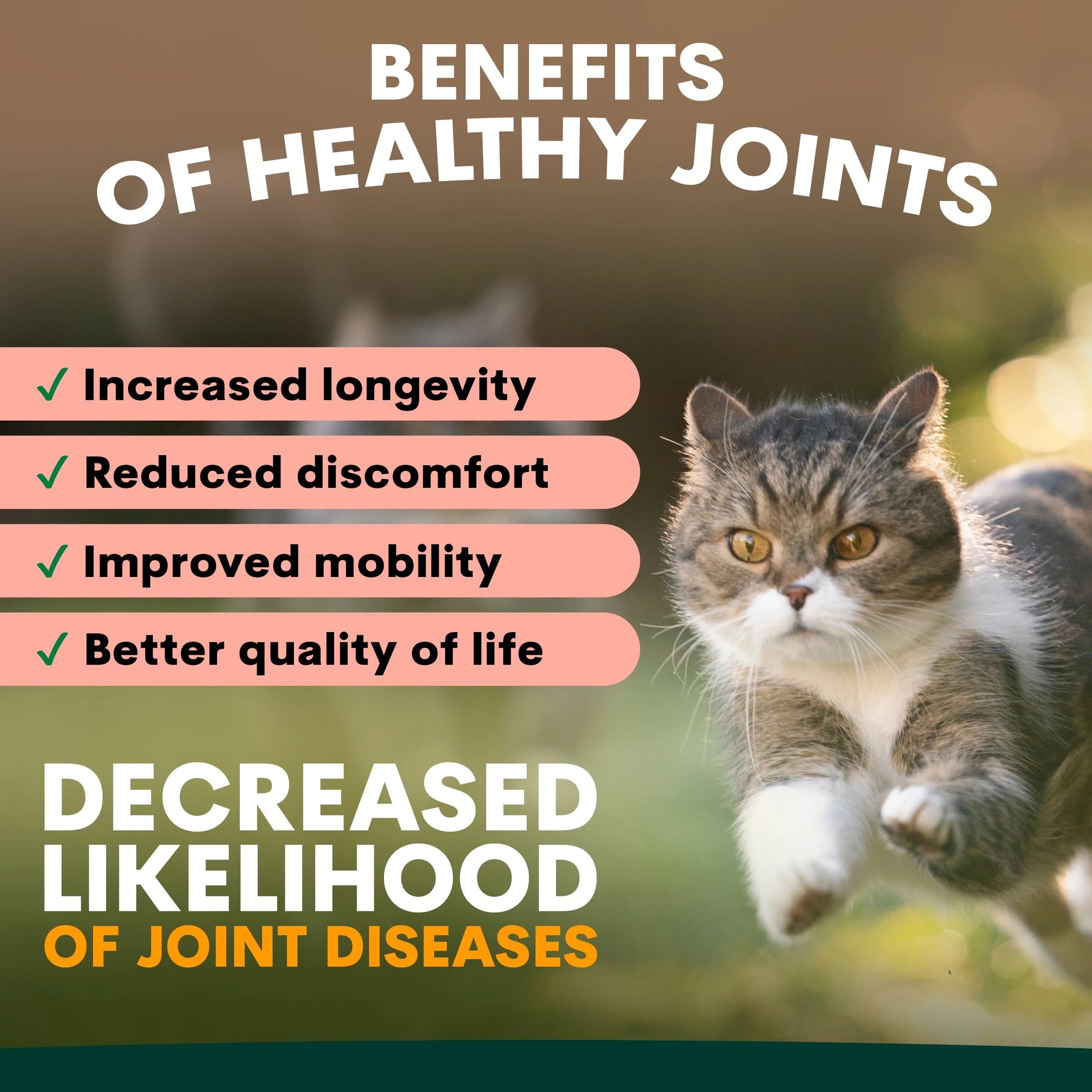 PetzPark - Hip + Joint - For Cats - 90g Powder