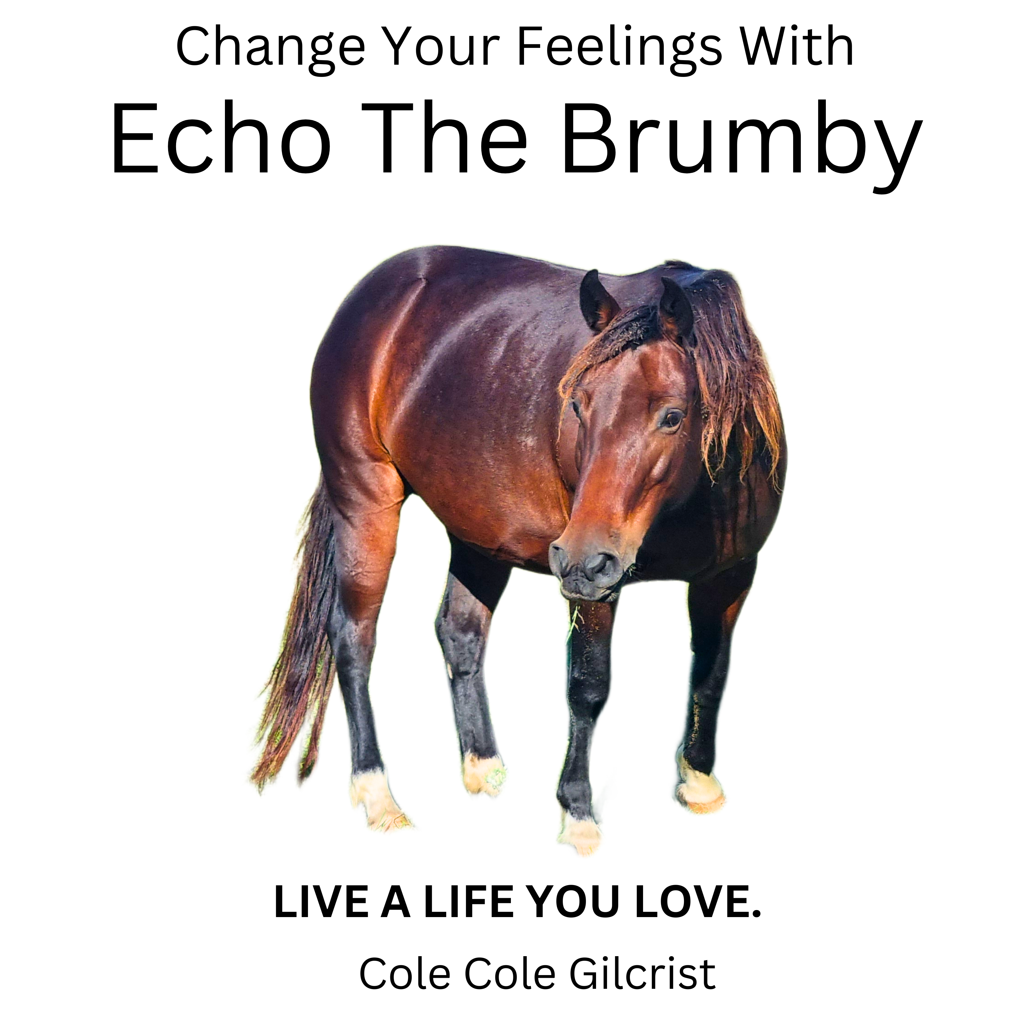 Echo The Brumby