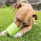 LickiMat - Yoggie Pot