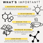 PetzPark - Brain Support Supplement- For Dogs - 180g Powder
