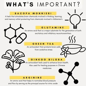 PetzPark - Brain Support Supplement- For Dogs - 180g Powder