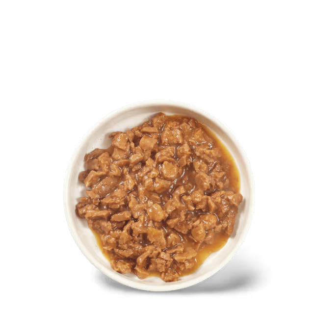 Ivory Coat  Wet Food Trays  Kitten Immunity - 12 x 85g