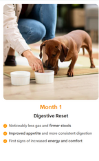 PetzPark – Probiotic Supplement – For Dogs 153g