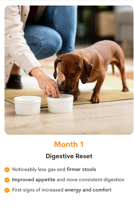 PetzPark – Probiotic Supplement – For Dogs 153g