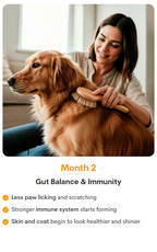 PetzPark – Probiotic Supplement – For Dogs 153g